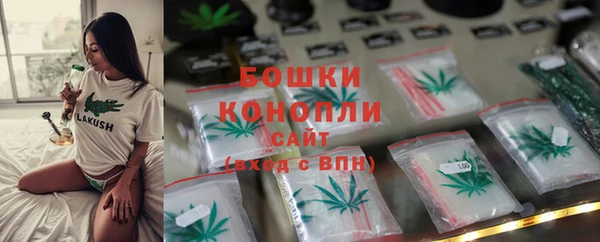 apvp Аркадак