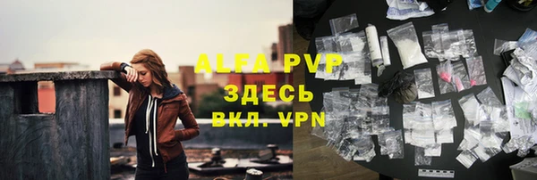 сатива Армянск