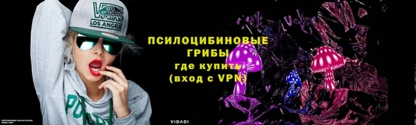 сатива Армянск