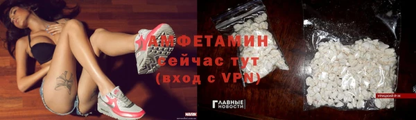 сатива Армянск