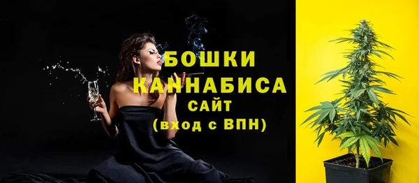 apvp Аркадак