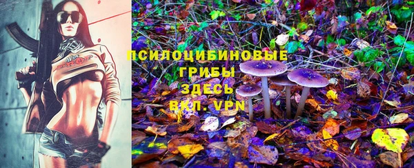сатива Армянск