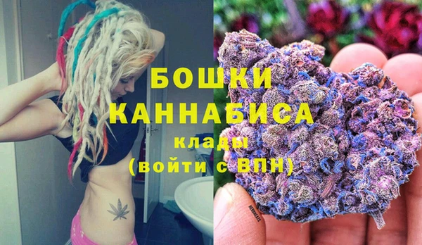 spice Арсеньев