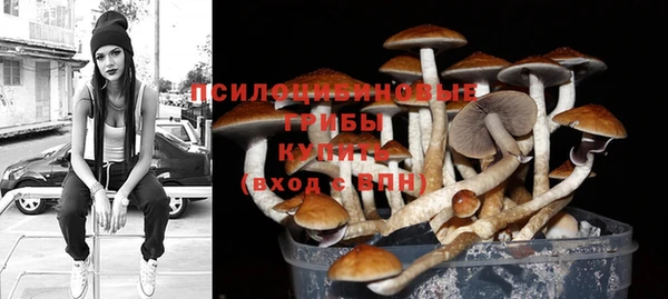 spice Арсеньев