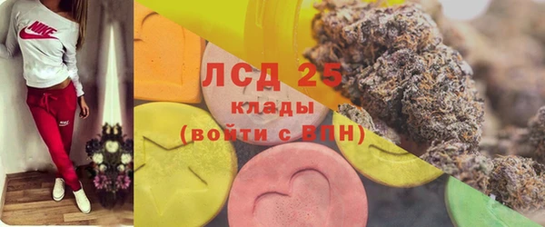 apvp Аркадак