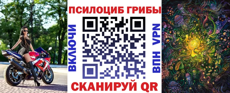 Галлюциногенные грибы Psilocybe  Купить где  Суджа 